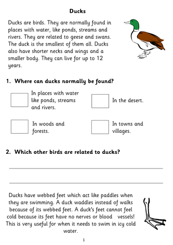 for questions grade 15 sheet (2 2 Booklets and fiction Comprehension Four KS1/2 Reading