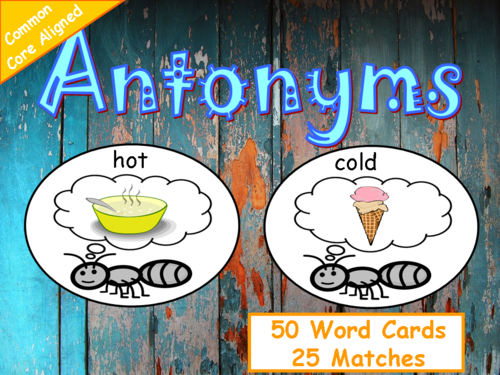 Antonyms Activities
