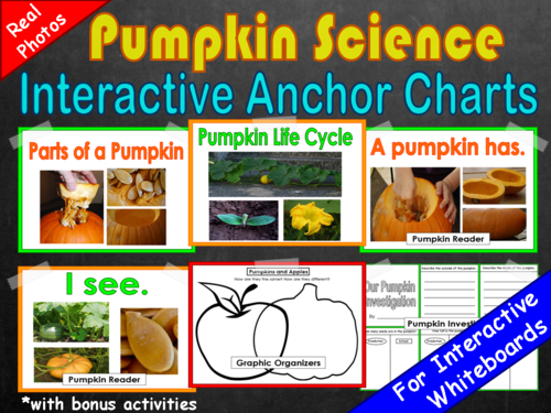 Pumpkin Science Unit
