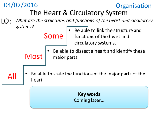 The Heart & Circulatory System - NEW GCSE