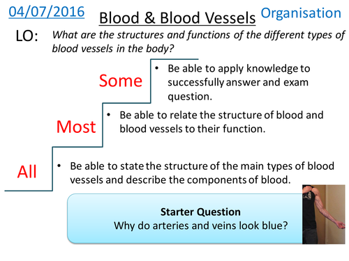 Blood Vessels & Blood - NEW GCSE