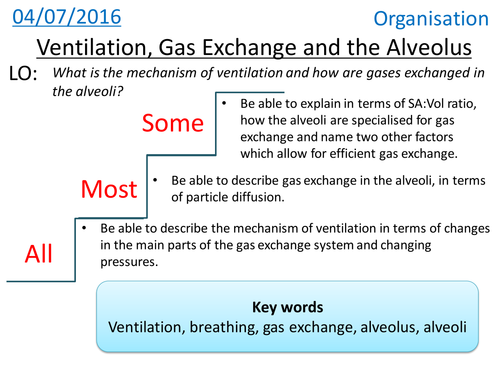 Ventilation, Gas Exchange & The alveolus - NEW GCSE 2016