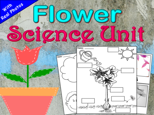Flowers Science Unit