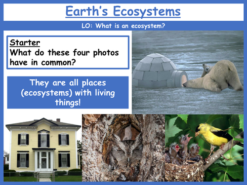 Ecosystems (Living Things) SoW
