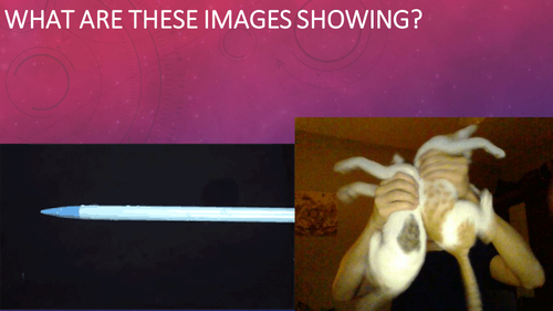 Powerpoint to deliver Electric fields portion of AQA New Specification