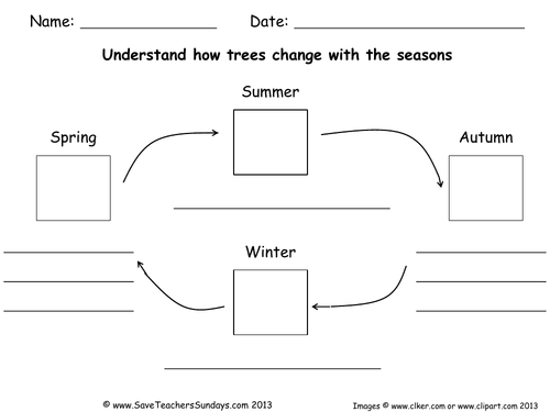 How an Apple Tree Changes with the Seasons KS1 Lesson Plan and Worksheet