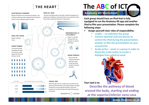 Worksheet to accompany Anatomy 4D app