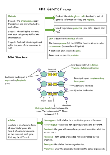 Edexcel CB3 in a page