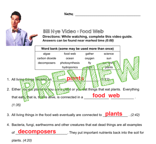 Bill Nye Video Questions FOOD WEB W Time Stamp Word Bank And Answer Key Teaching Resources