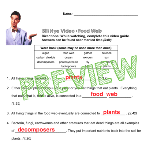 bill-nye-video-questions-food-web-w-time-stamp-word-bank-and-answer-key-teaching-resources