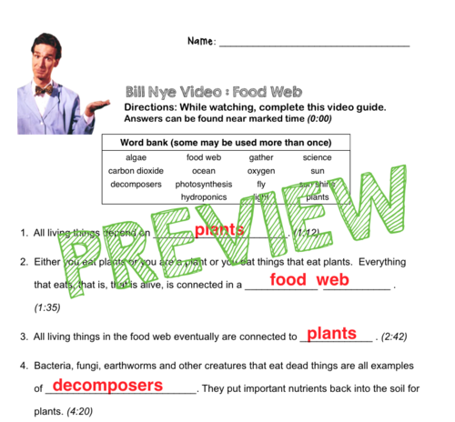 Printables Bill Nye Food Web Worksheet bill nye food web worksheet bloggakuten