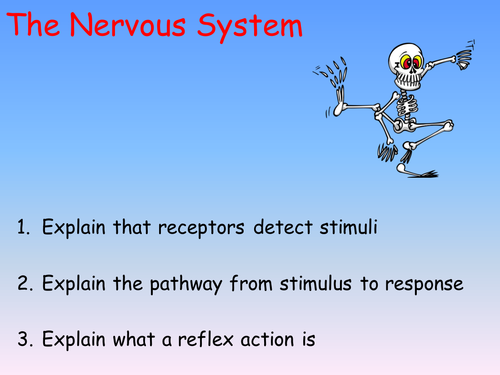 B1 a AQA or EDEXCEL Revision powerpoint