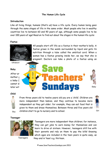 Human Life Cycle KS1 Lesson Plan, Explanation Text and Worksheet