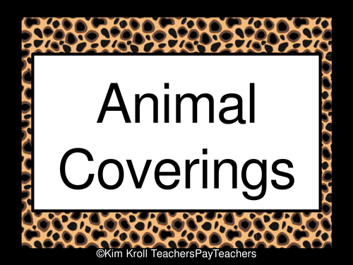 Animal Coverings PowerPoint (Editable!) 1st Grade/ Kindergarten
