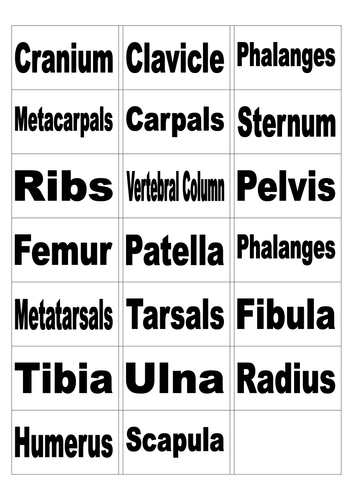 GCSE PE Partner task - Bone Classification - Bone Stickers