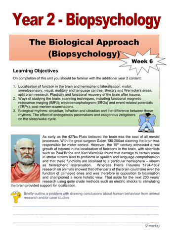 Year 2 Student Workbook - The Biopsychology Additional Content