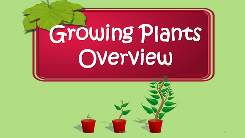 Plants, Seeds and Fruits Science Bundle