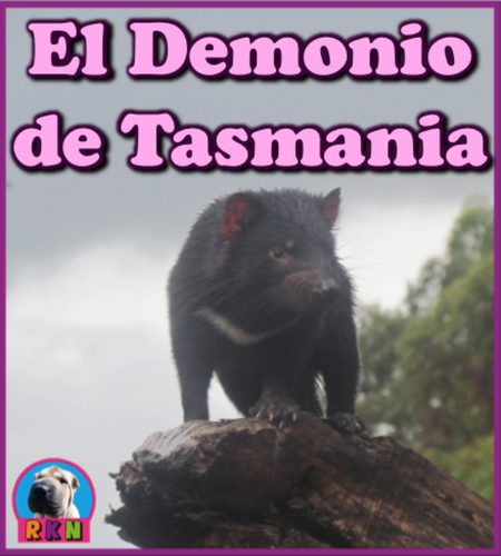 El Demonio de Tasmania - PowerPoint