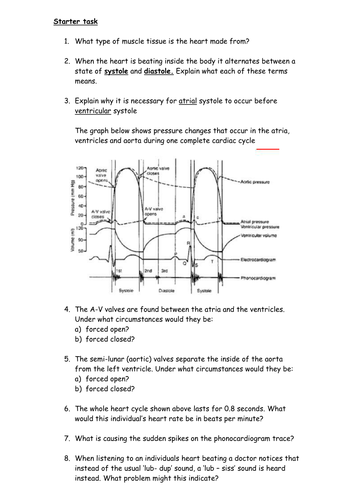 Cardiac Cycle - Interpreting pressure change graphs | Teaching Resources