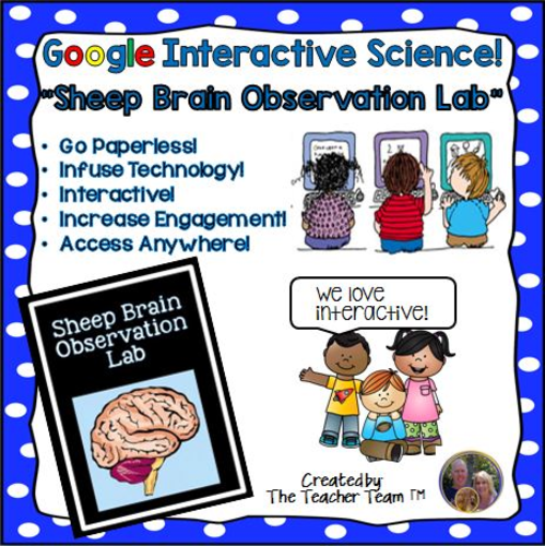 Google Drive Biology- Sheep Brain Observation Lab for Google Classroom