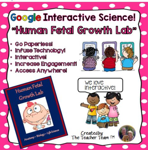 Google Drive Biology- Human Fetal Growth Lab for Google Classroom