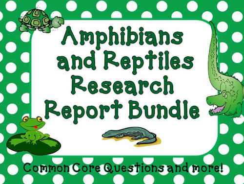 Reptile and Amphibian  Research Report