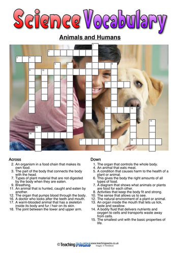 Science Vocabulary Crosswords