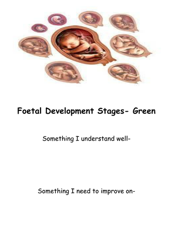 Child development GCSE Differentiated foetal development pregnancy booklets