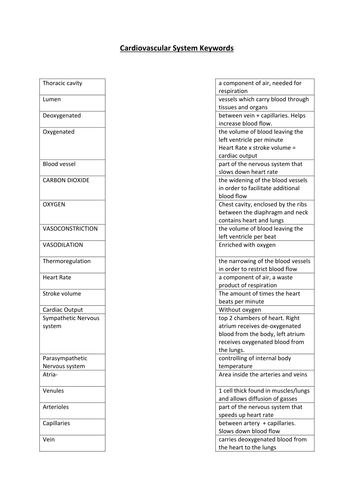 Cardiovascular Keywords Activity