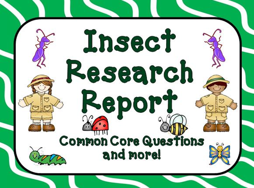 Insect Research Report