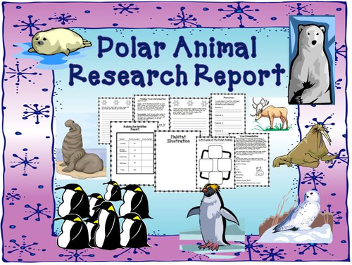 Polar Animal Research Report
