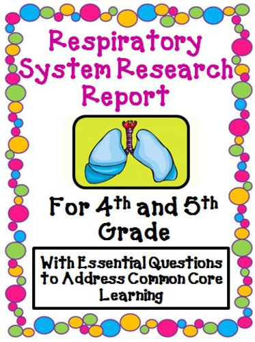 Respiratory System Research Report