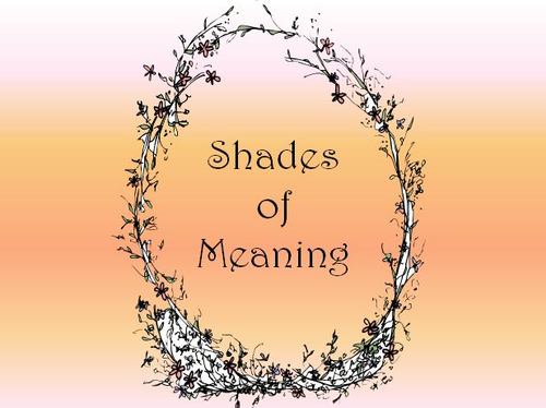 Shades of Meaning Lesson