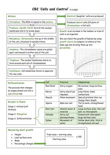 Edexcel CB2 in a page