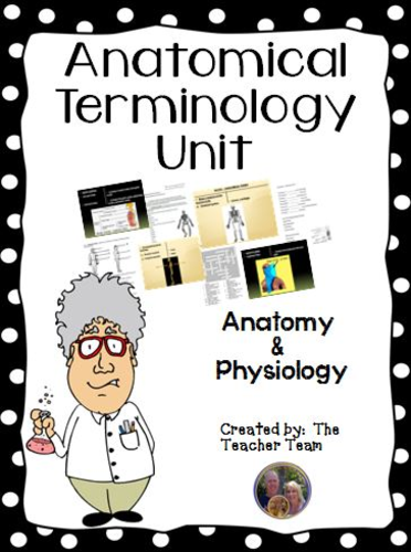 Anatomical Terms Unit
