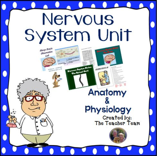 Nervous System Unit