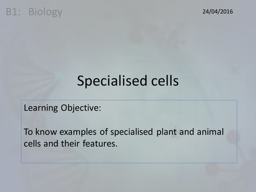 Activate 1: B1: 1.3  Specialised Cells
