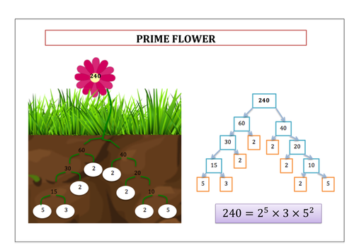 Prime Flower