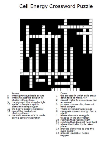 Cell Energy Crossword Puzzle
