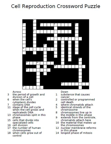 Cell Reproduction Crossword Puzzle