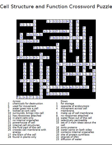 Cell Structure And Function Crossword Puzzle Teaching Resources