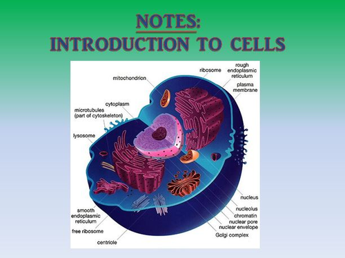 Cell Introduction Notes Powerpoint Presentation