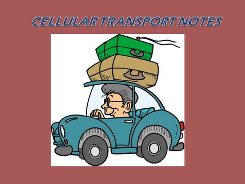 Cell Transport Notes Powerpoint Presentation