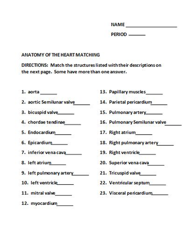 Anatomy Of The Heart Matching Worksheet Teaching Resources