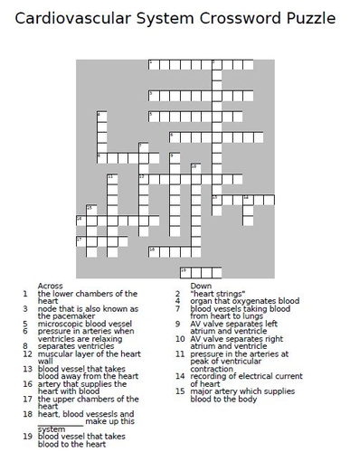 Кроссворд единица. Cardiovascular System crossword. Cardiovascular System кроссворд. The skeletal System crossword answers. The Circulatory System кроссворд с ответами.