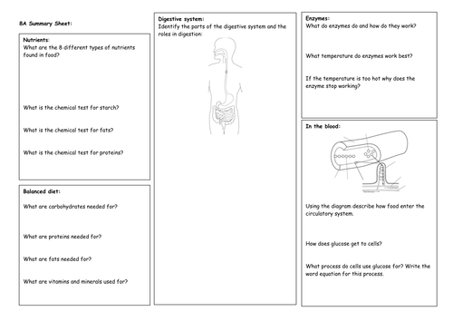 year 8 exploring science revision mats for old sow