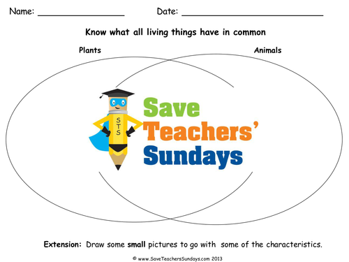 Characteristics of All Living Things KS1 Lesson Plan and Worksheet