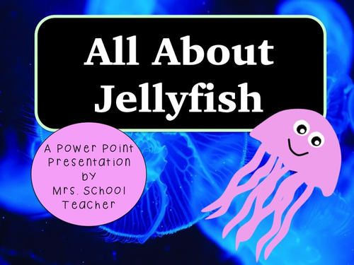 Jellyfish