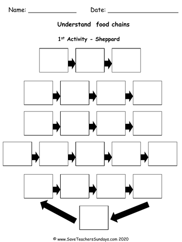 Food Chains KS1 Lesson Plan, Instructions, Hyperlinks and Worksheet