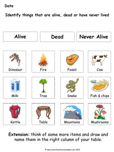 Living Things and Their Habitats Year 2 Planning and Resources | Teaching  Resources